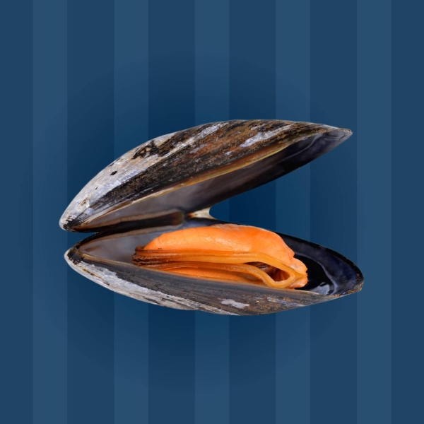 La carte - À La Moule, à La Moule - restaurant LE GRAU-DU-ROI - Moule frite Grau du Roi