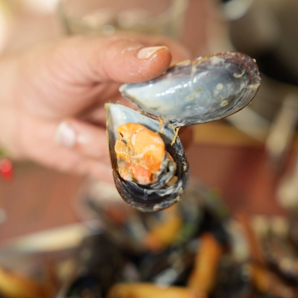 La carte - À La Moule, à La Moule - restaurant LE GRAU-DU-ROI - Moule frite Grau du Roi