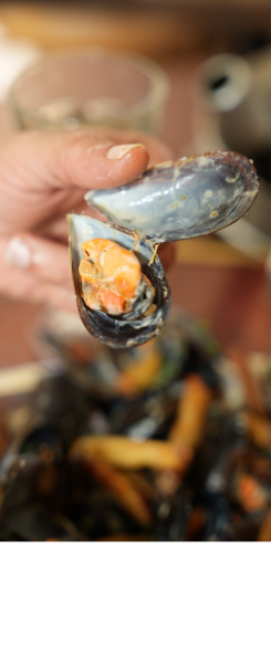 Le restaurant - À La Moule, à La Moule - restaurant LE GRAU-DU-ROI - Resto au Grau du Roi