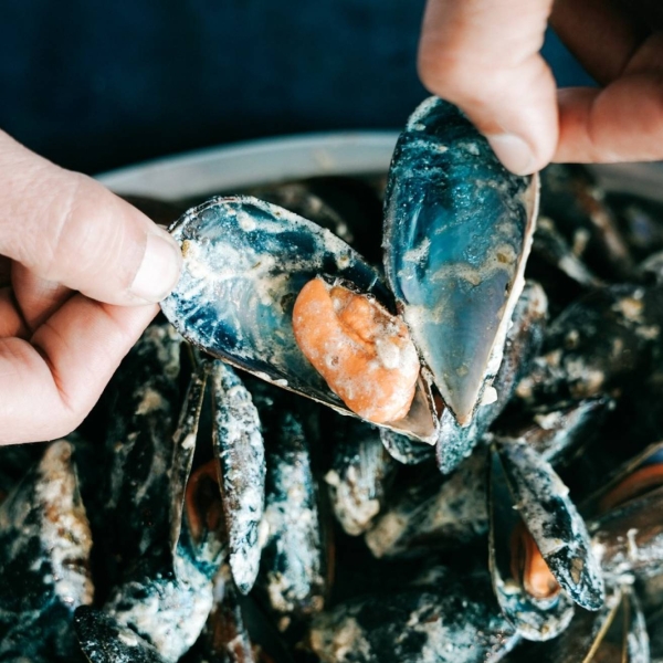 La carte - À La Moule, à La Moule - restaurant LE GRAU-DU-ROI - Moule frite Grau du Roi