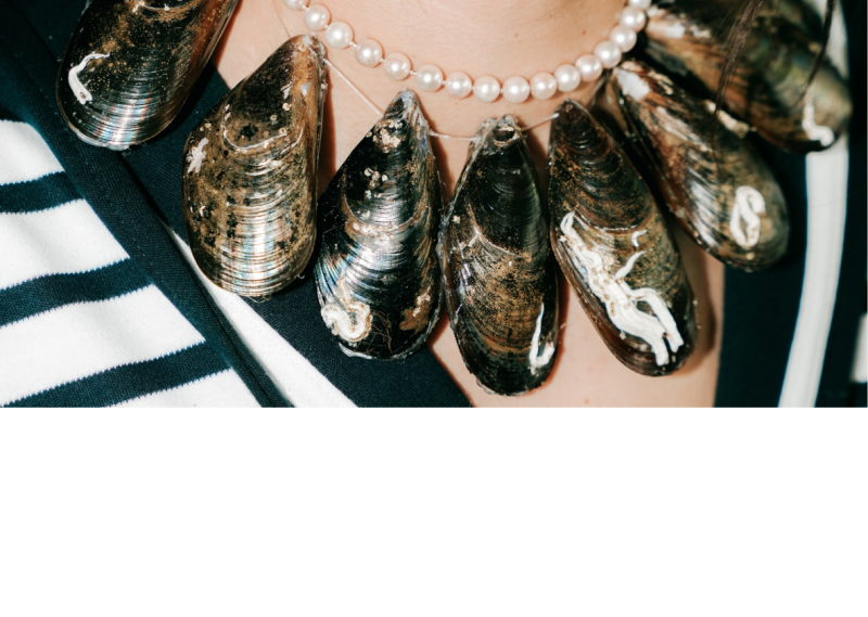 Le restaurant - À La Moule, à La Moule - restaurant LE GRAU-DU-ROI - Resto au Grau du Roi